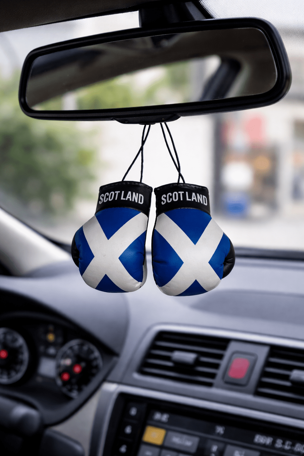 Country Flag Mini Boxing Gloves