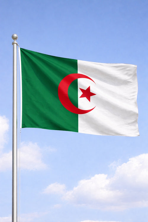Algeria National Flag – Large, Medium Handheld & Tabletop Mini Flag Options