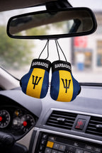 Country Flag Mini Boxing Gloves