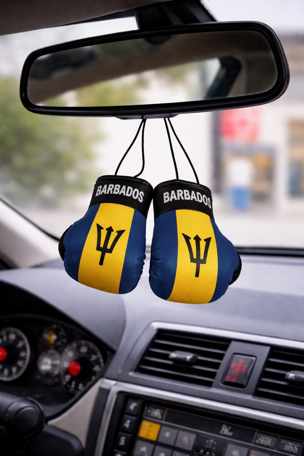 Country Flag Mini Boxing Gloves
