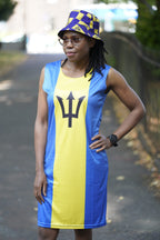 Barbados Flag Dress | Sleeveless Bodycon Shift Dress