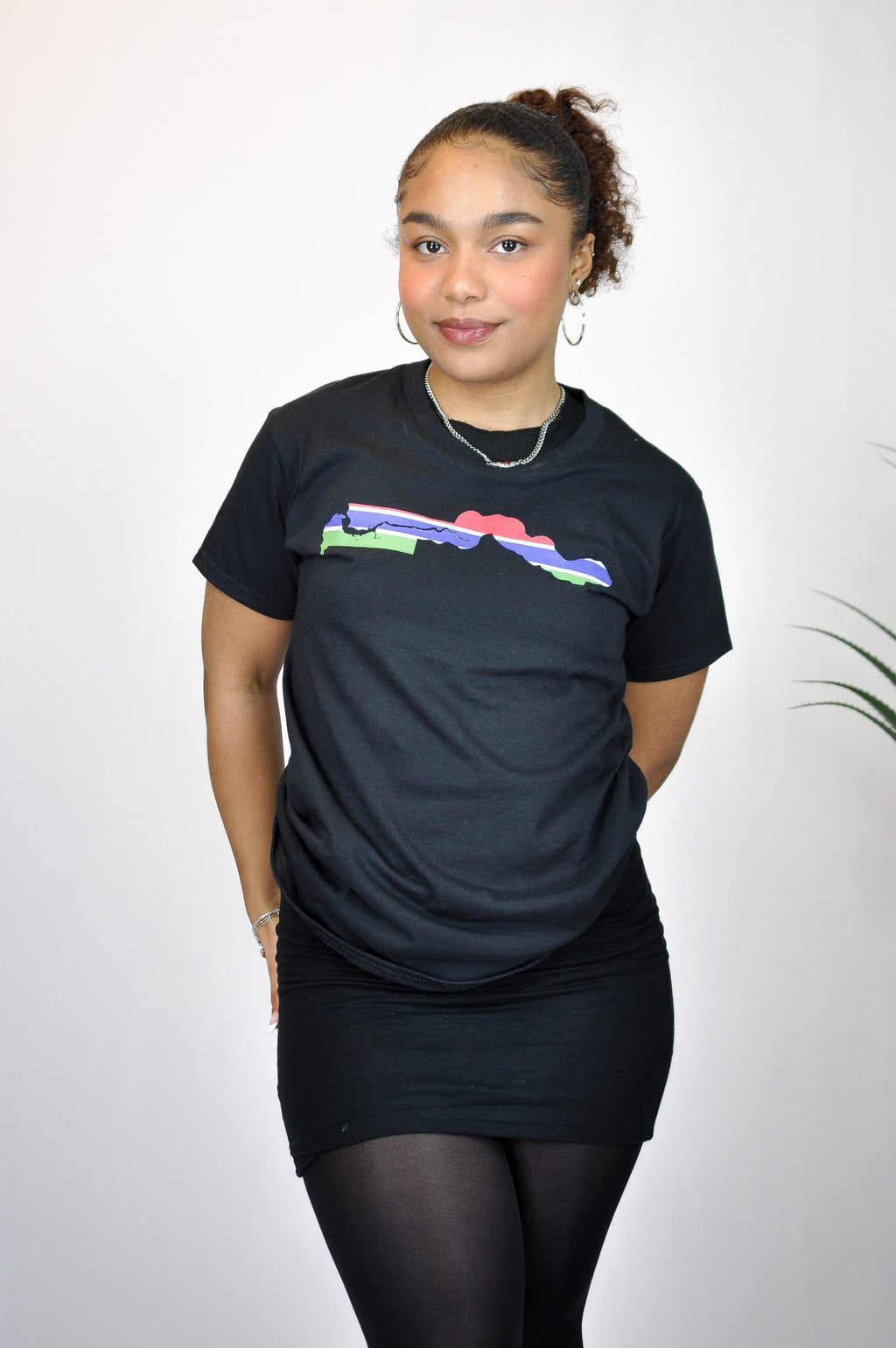 The Gambia Colours Country Flag Unisex Top