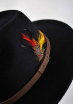 Black Fedora Hat with Feather