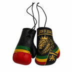 Country Flag Mini Boxing Gloves