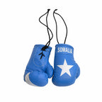 Country Flag Mini Boxing Gloves