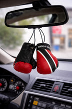 Country Flag Mini Boxing Gloves