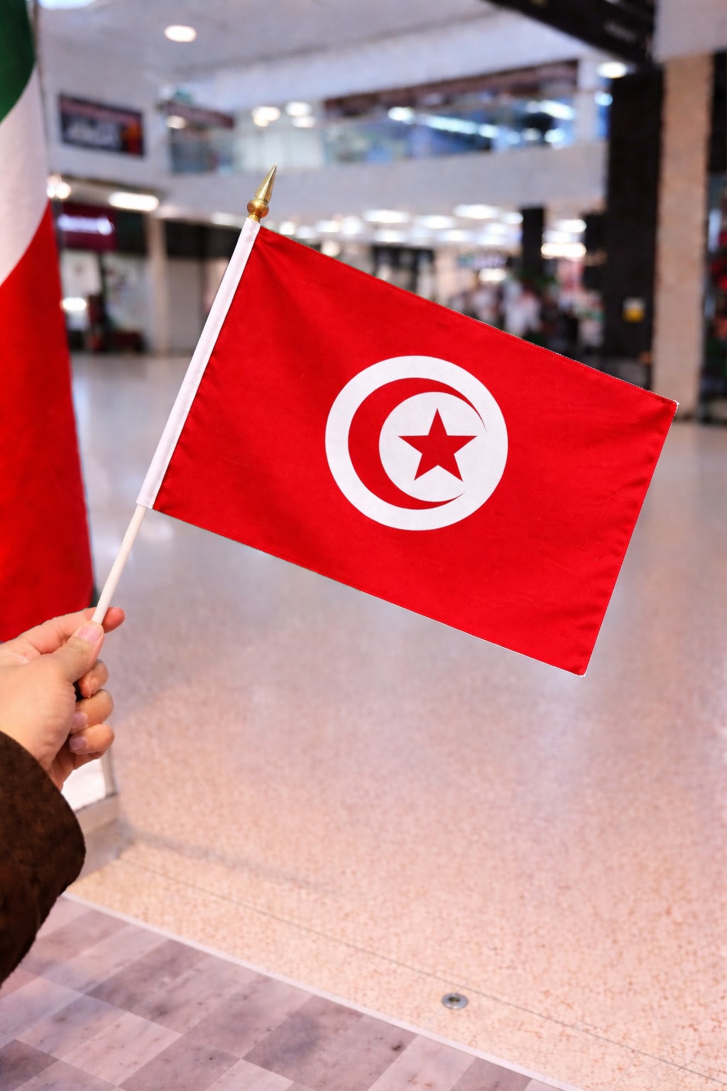 Tunisia National Flag – Large, Medium Handheld & Tabletop Mini Flag Options