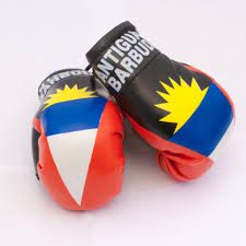 Antigua Mini Gloves