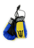 Barbados Mini Gloves