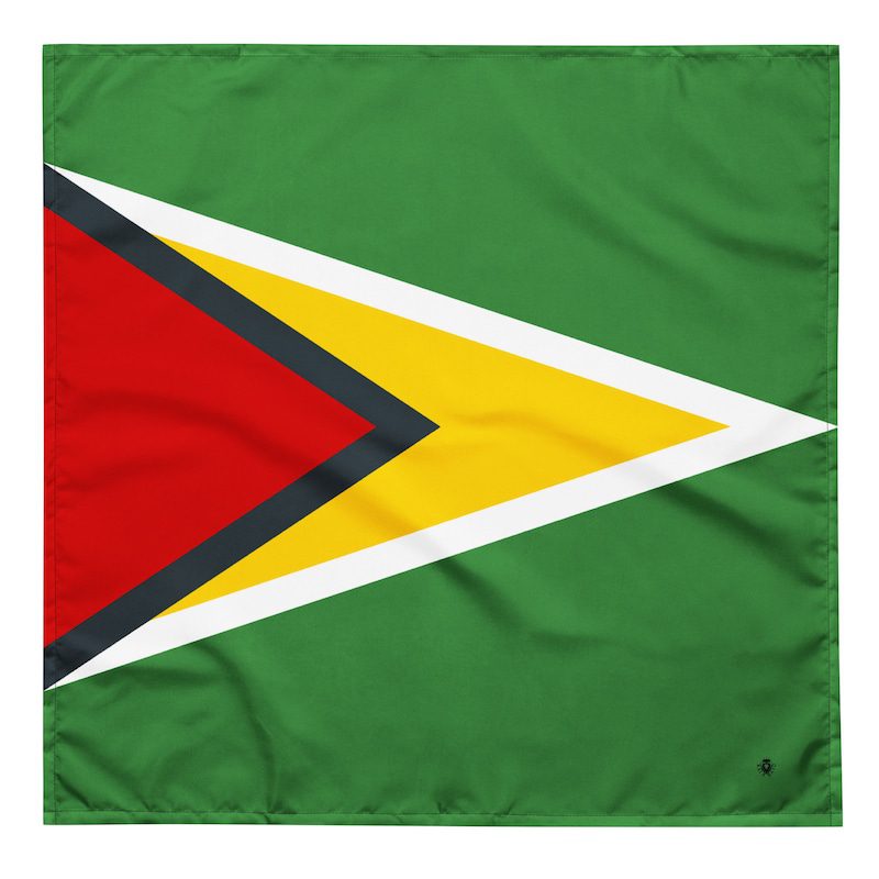 Guyana Large Flag