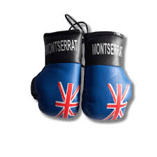Montserrat Gloves