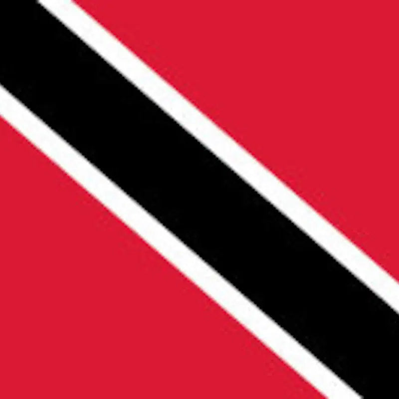 Trinidad Large Flag