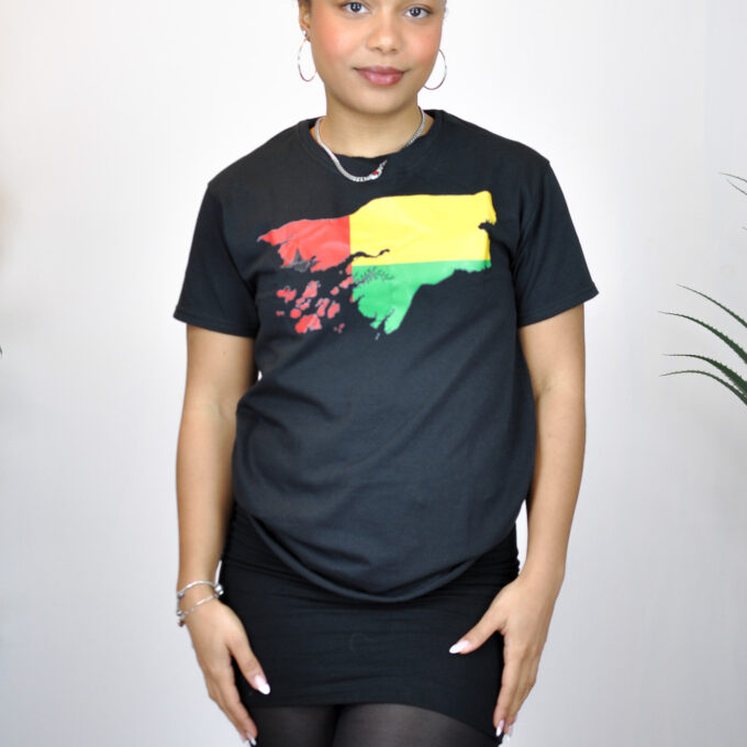 Guinea-Bissau Colours Country Flag Unisex Top