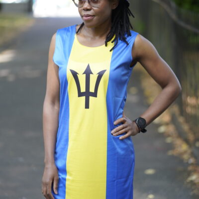Barbados Flag Dress | Sleeveless Bodycon Shift Dress