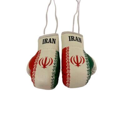 Iran Mini Gloves