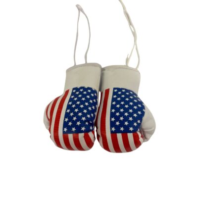 USA Mini Gloves